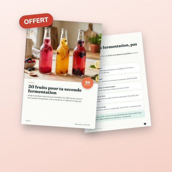 Bonus 2 : 20 secondes fermentations aux fruits